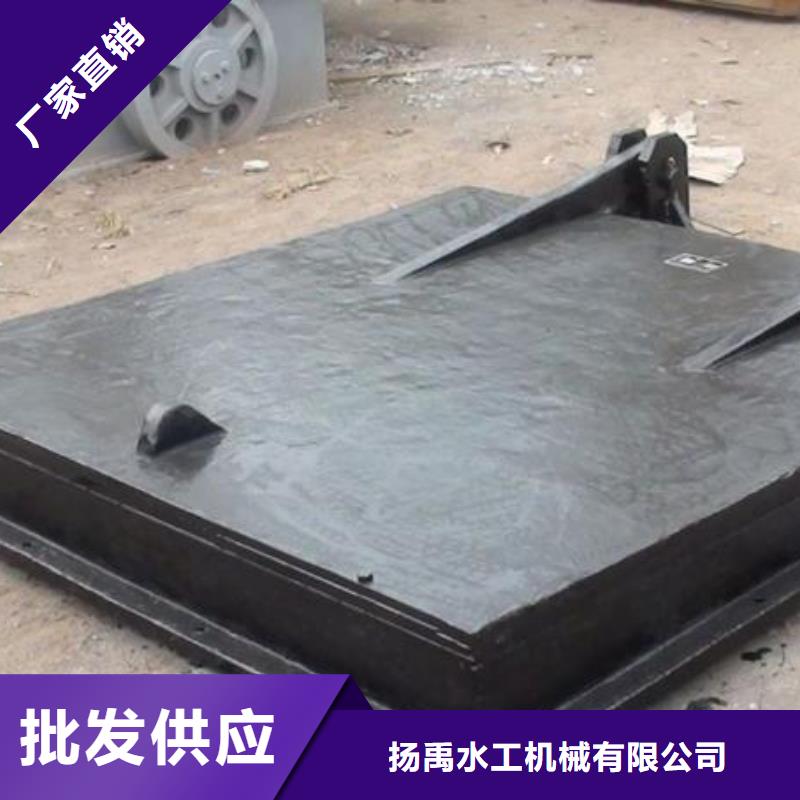 【拍门铸铁闸门敢与同行比质量】