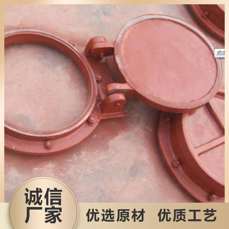 【拍门球墨铸铁闸门根据要求定制】