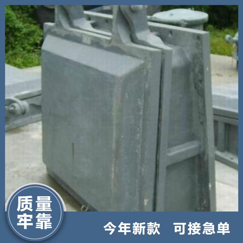 拍门卷扬启闭机厂家自营品质有保障