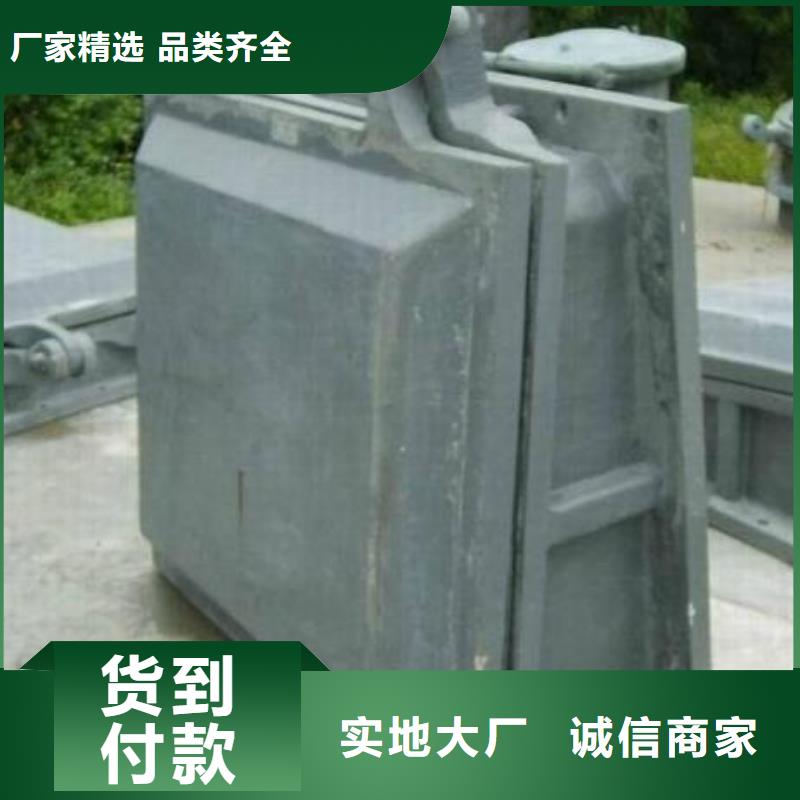  拍门48小时发货