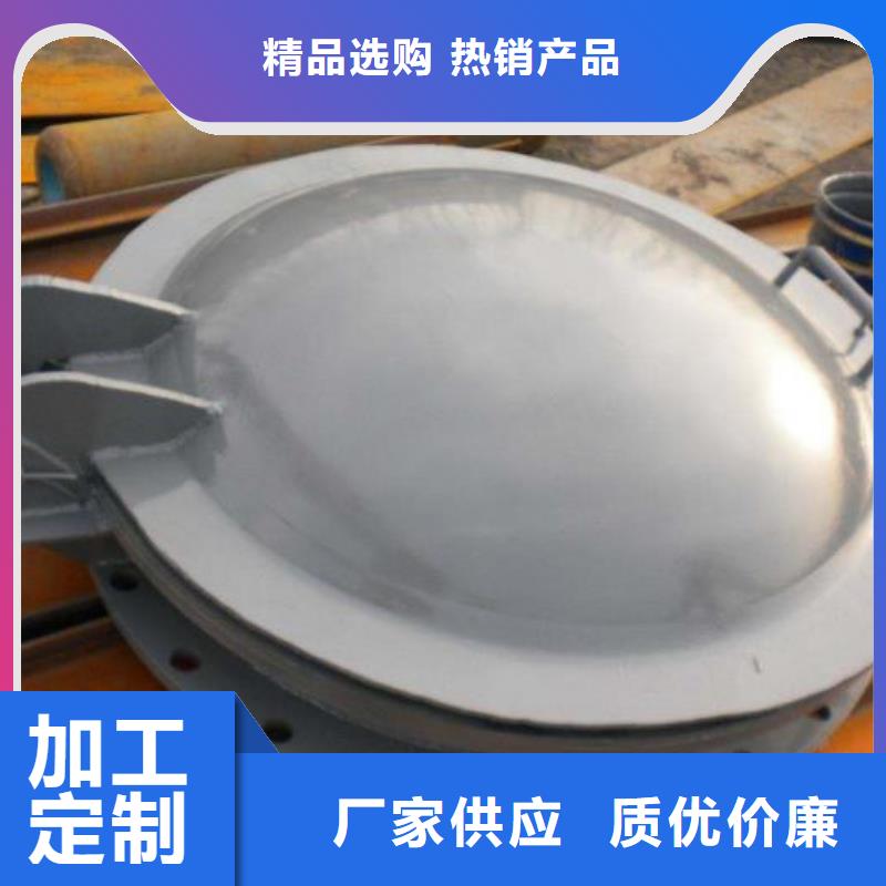 拍门,卷扬启闭机厂家按需定制