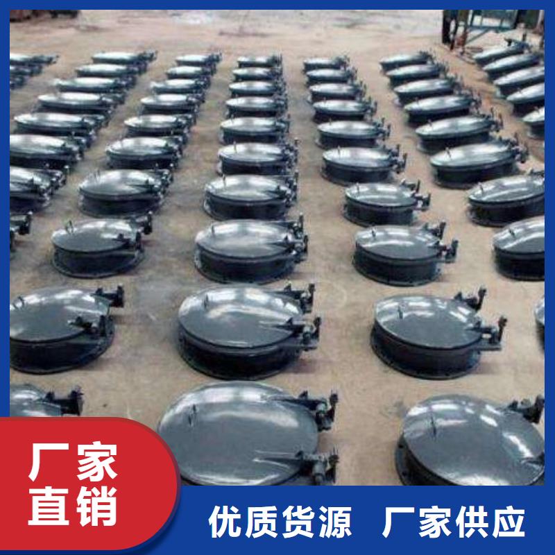 拍门,【螺杆启闭机】专注质量清污机铸铁闸门