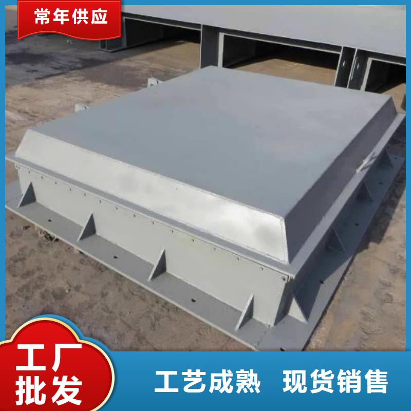 【拍门】_铸铁闸门厂家厂家定制_河畔水利机械厂(大庆市分公司)