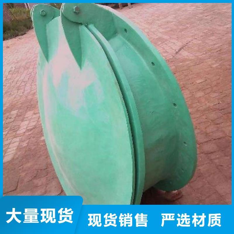 拍门 拦污栅自主研发