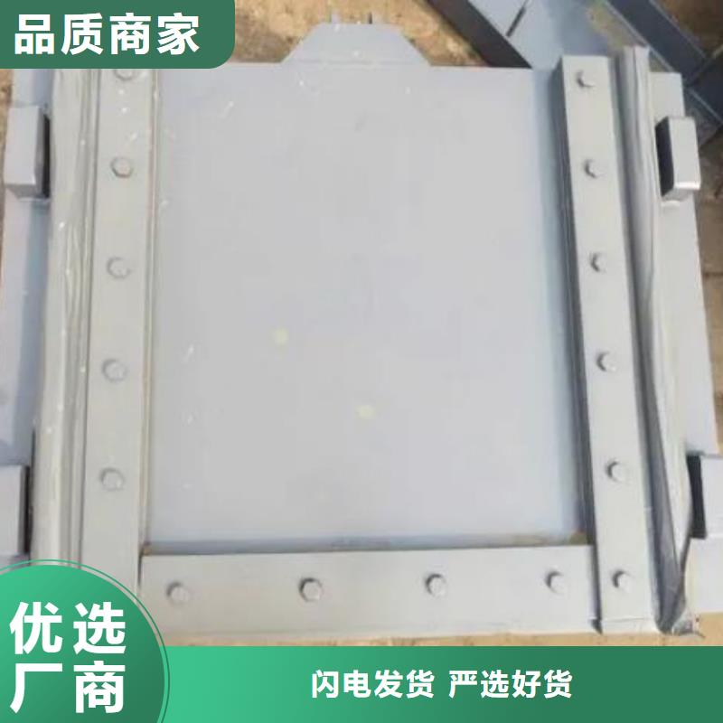 【塑料闸门】,钢坝多年行业经验