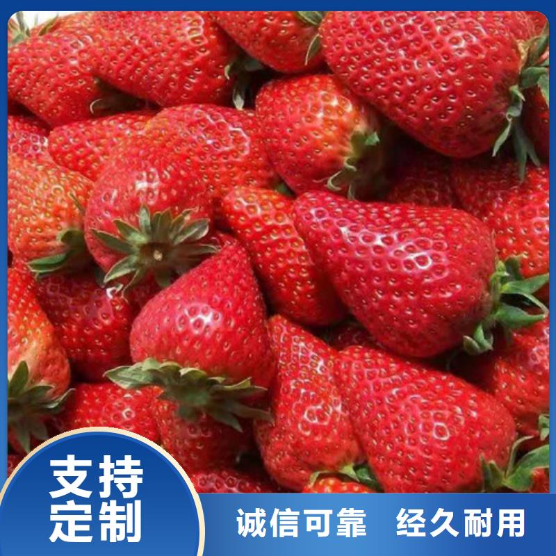 草莓苗花椒苗N年大品牌