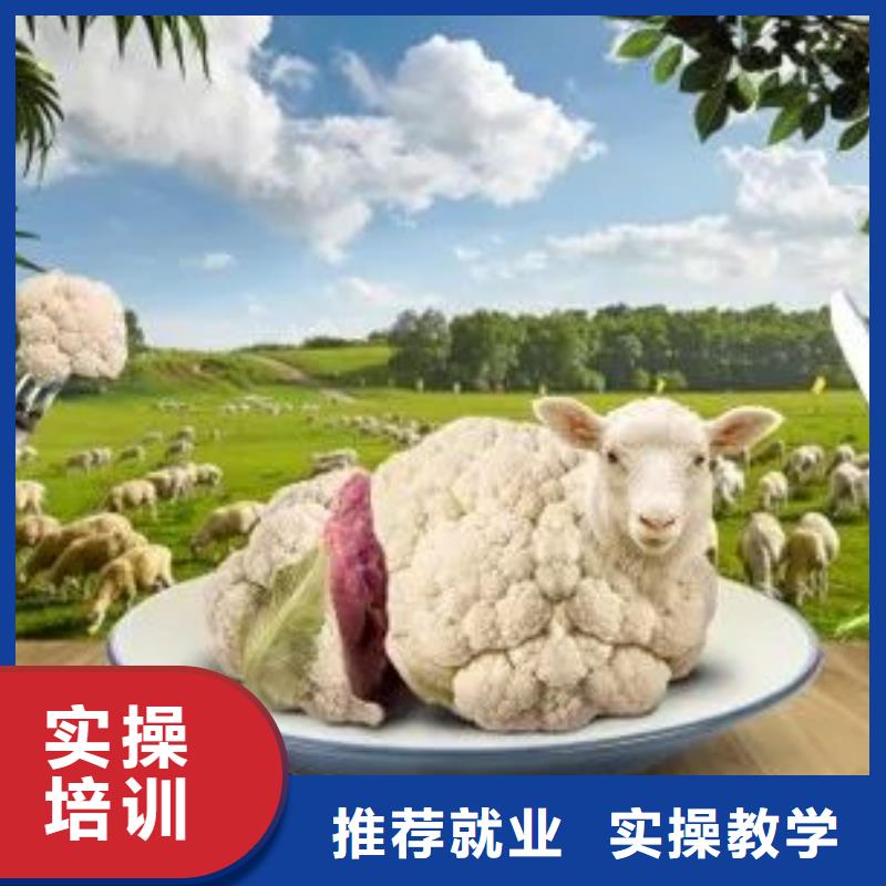 学装载机铲车叉车学费多少钱视频-学装载机铲车叉车学费多少钱-湖南省益阳市沅江|安化|怀化|株洲|湘潭|长沙|衡阳(当地)生产厂家
