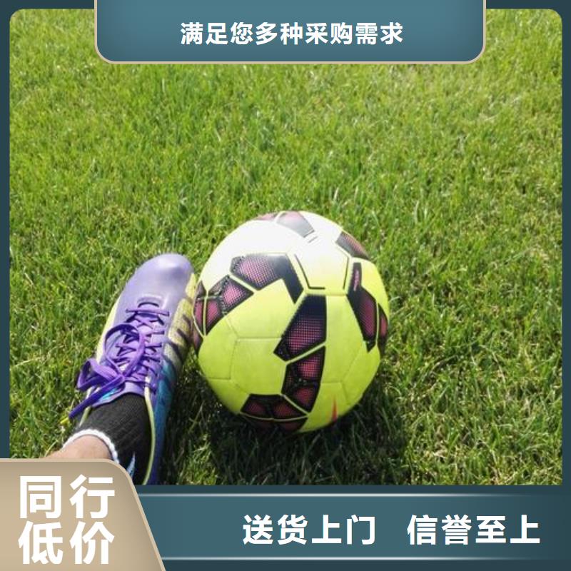 塑胶跑道塑胶地坪产品细节