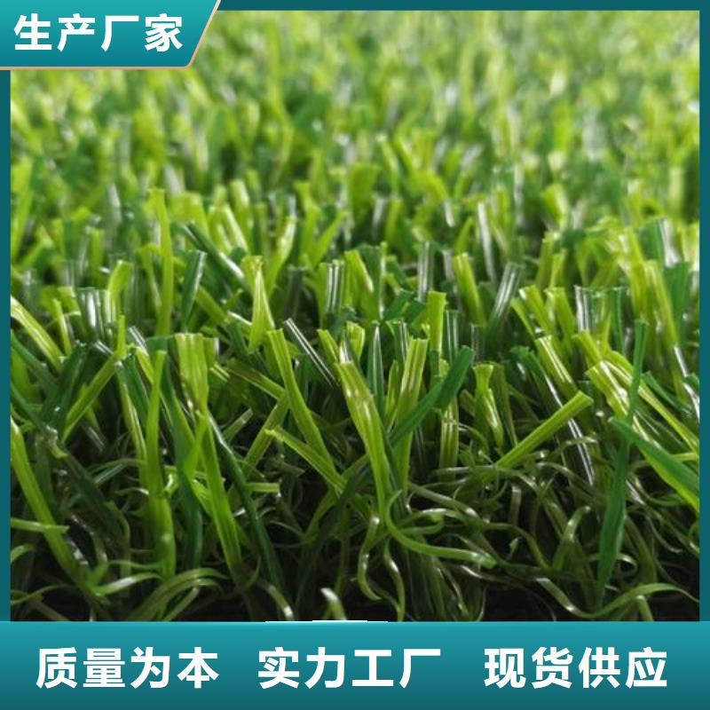 塑胶跑道公园步道品牌企业