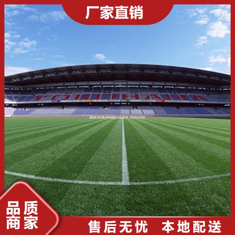 塑胶跑道塑胶地坪来图来样定制