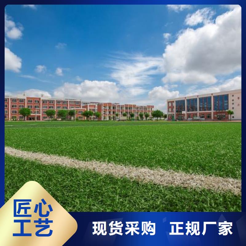 【塑胶跑道】-塑胶跑道厂家当日价格|体育塑胶运动场-友建体育用品(山南市分公司)