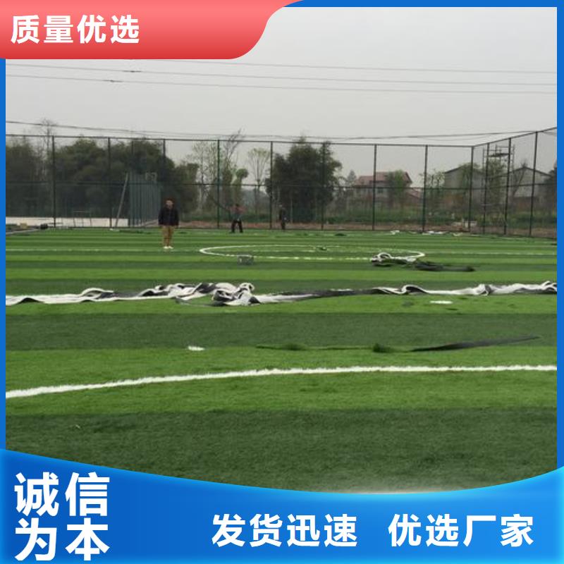 塑胶跑道塑胶跑道厂家支持拿样