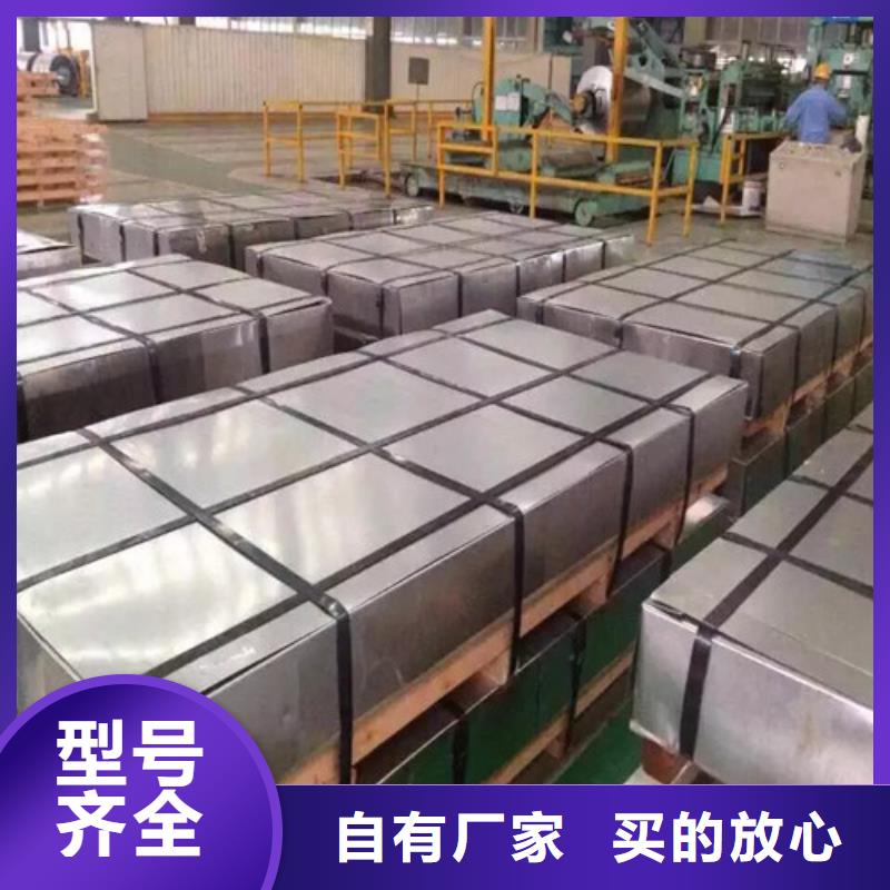 拉伸板DC56D+ZF-我公司资质齐全