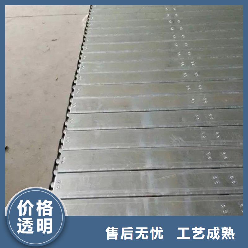 【链板】 输送带产地货源当地品牌
