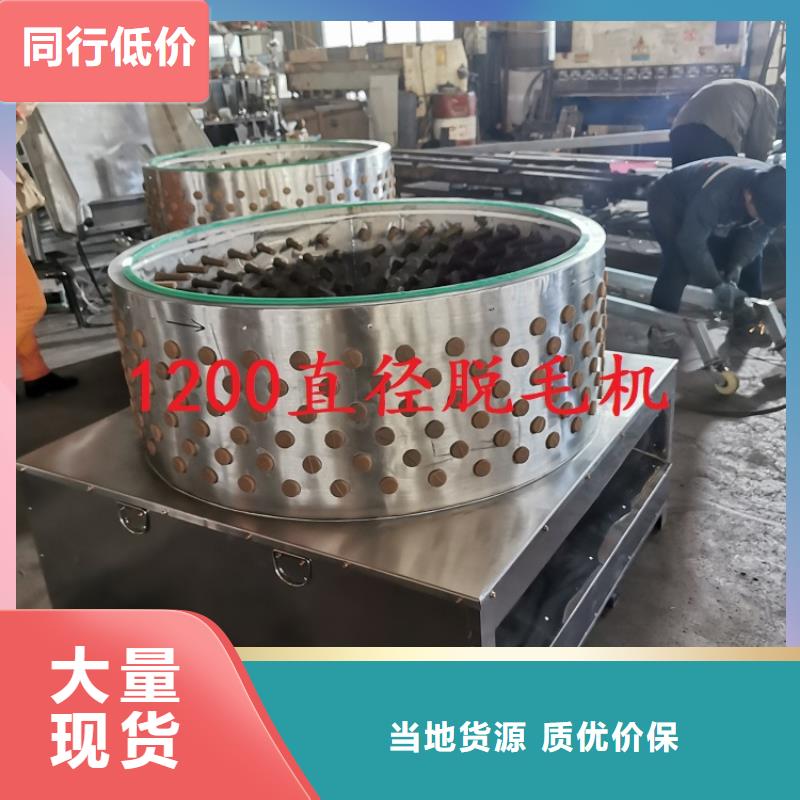 【 家禽脱毛机_输送机厂家实力商家供货稳定】