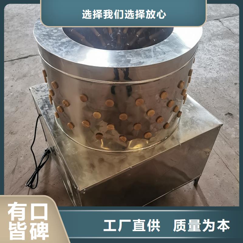 【 家禽脱毛机_输送机厂家实力商家供货稳定】