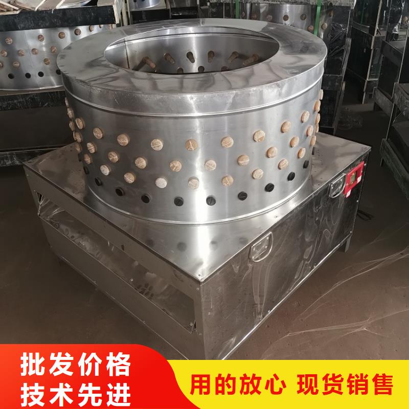 【 家禽脱毛机_输送机厂家实力商家供货稳定】
