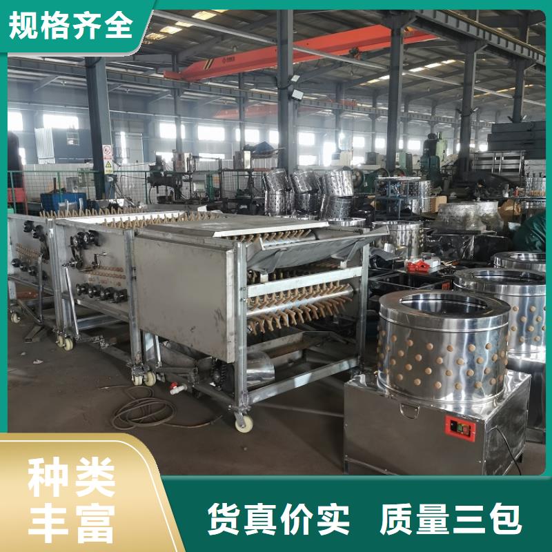 【 家禽脱毛机_输送机厂家实力商家供货稳定】