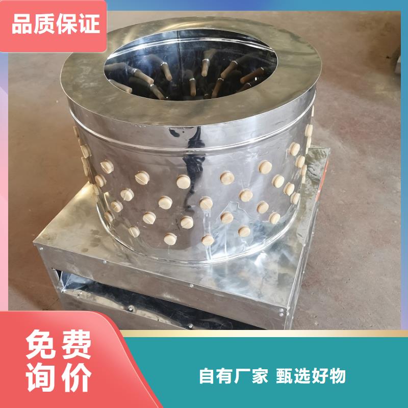 【 家禽脱毛机_输送机厂家实力商家供货稳定】