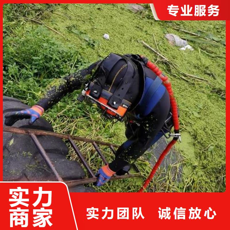 水下作业,管道气囊封堵公司技术精湛