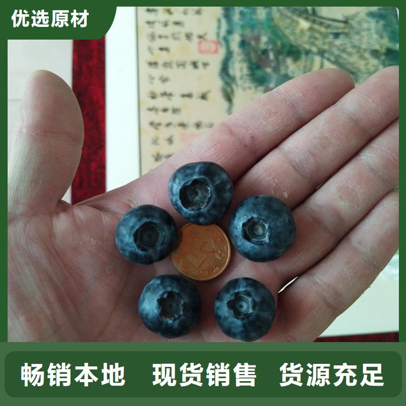 玛瑙红石榴苗视频-津|武陵|邵阳|娄底|益阳|长沙|岳阳|湘西玛瑙红石榴苗现货-轩园园艺场(常德市分公司)