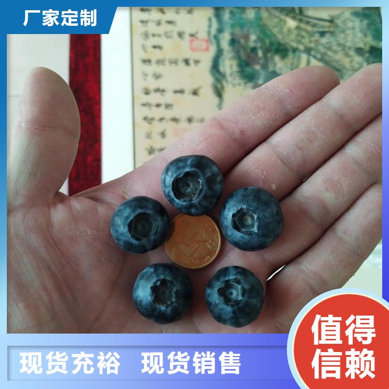 玛瑙红石榴苗-视频-玛瑙红石榴苗-湖南省常德市【同城】生产厂家-澧县|汉寿|衡阳|益阳|永州|湘潭|株洲|岳阳