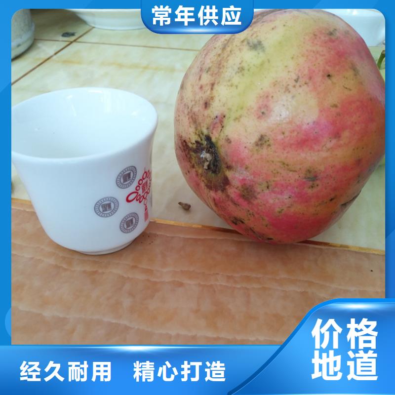 石榴石榴树甄选好厂家