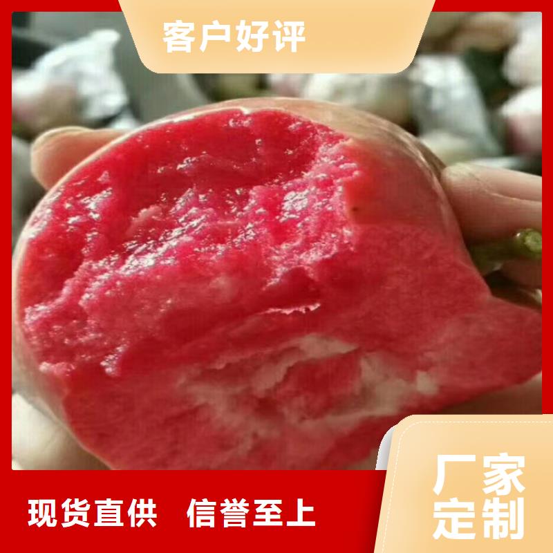 玛瑙红石榴苗视频-玛瑙红石榴苗-轩园园艺场(盘锦市分公司)服务区域大洼|兴隆台|沈阳|本溪|丹东|朝阳