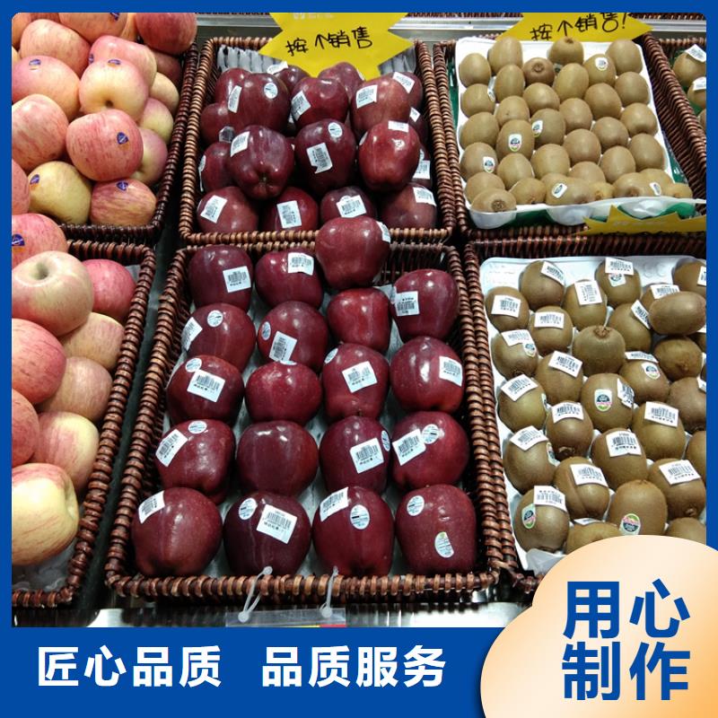 玛瑙红石榴苗视频-玛瑙红石榴苗-轩园园艺场(盘锦市分公司)服务区域大洼|兴隆台|沈阳|本溪|丹东|朝阳