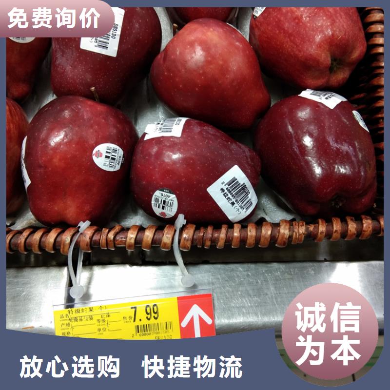 苹果【杏树苗】多年行业经验