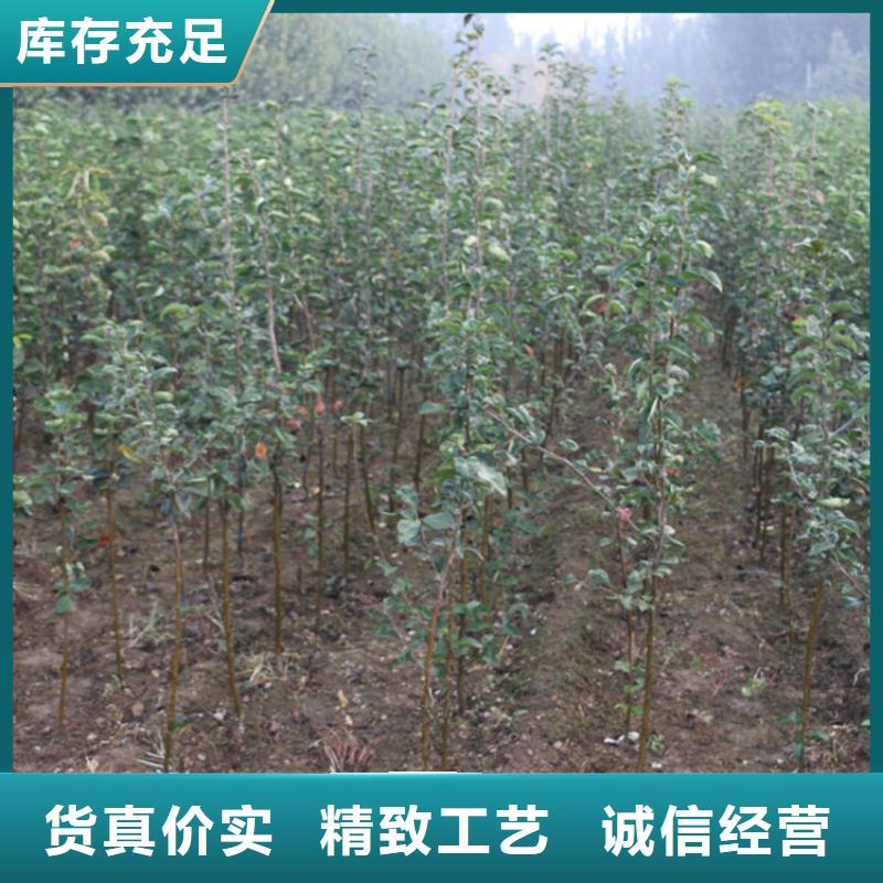 苹果_奶油草莓支持定制