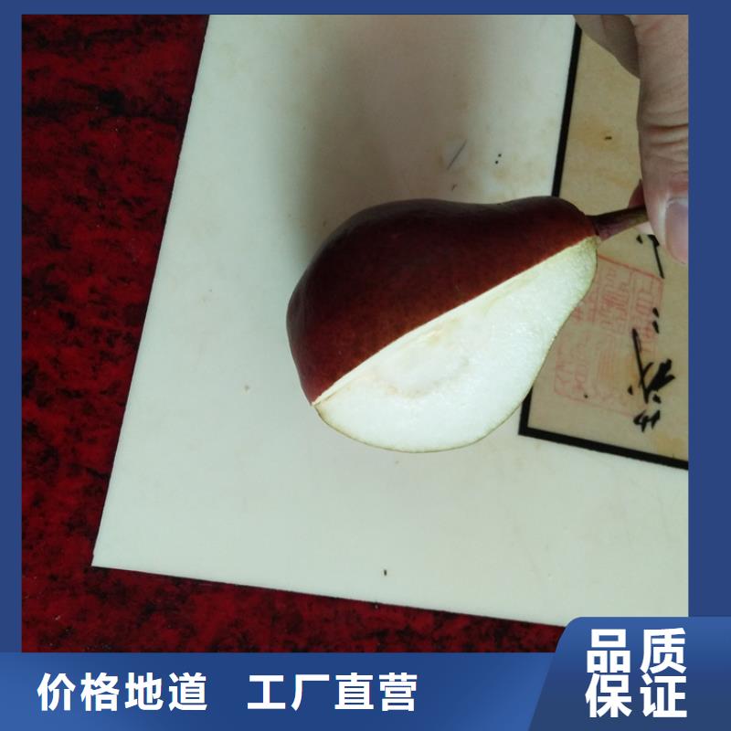 梨树李子苗产品细节参数