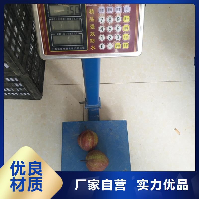 梨树,樱桃苗设备齐全支持定制