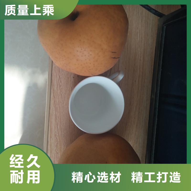 玛瑙红石榴苗-视频-玛瑙红石榴苗_广西省柳州市市场覆盖鱼峰|融安|桂林|防城港|百色|贺州等