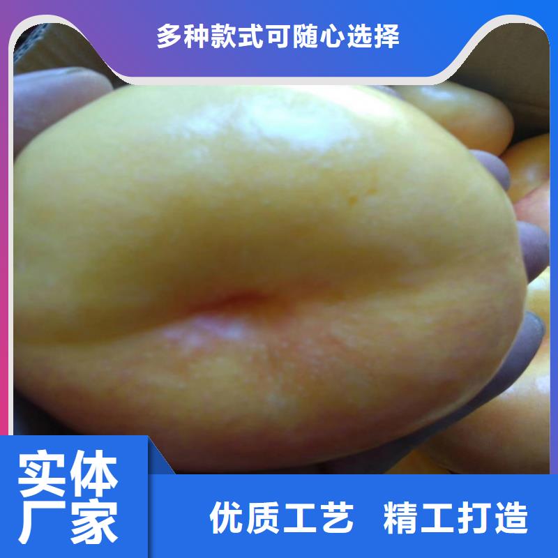 桃-【樱桃苗】优质工艺 轩园园艺场(盐城市分公司)