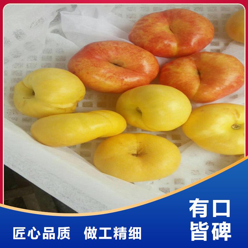 桃石榴树48小时发货