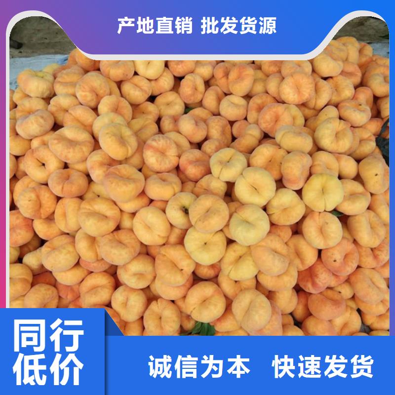 桃-【樱桃苗】优质工艺 轩园园艺场(盐城市分公司)