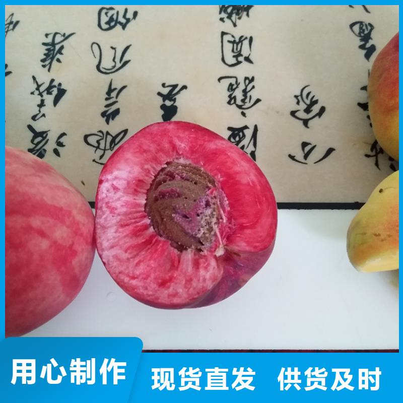 桃奶油草莓全品类现货