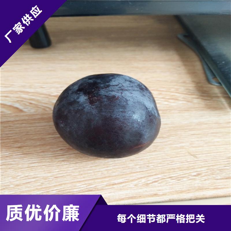 李子樱桃苗当地厂家值得信赖