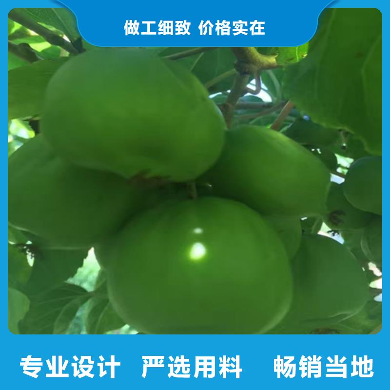 玛瑙红石榴苗-视频-徐州市玛瑙红石榴苗-轩园园艺场(徐州市分公司)服务区域睢宁|丰县|南京|无锡|宿迁|镇江|泰州|常州|淮安