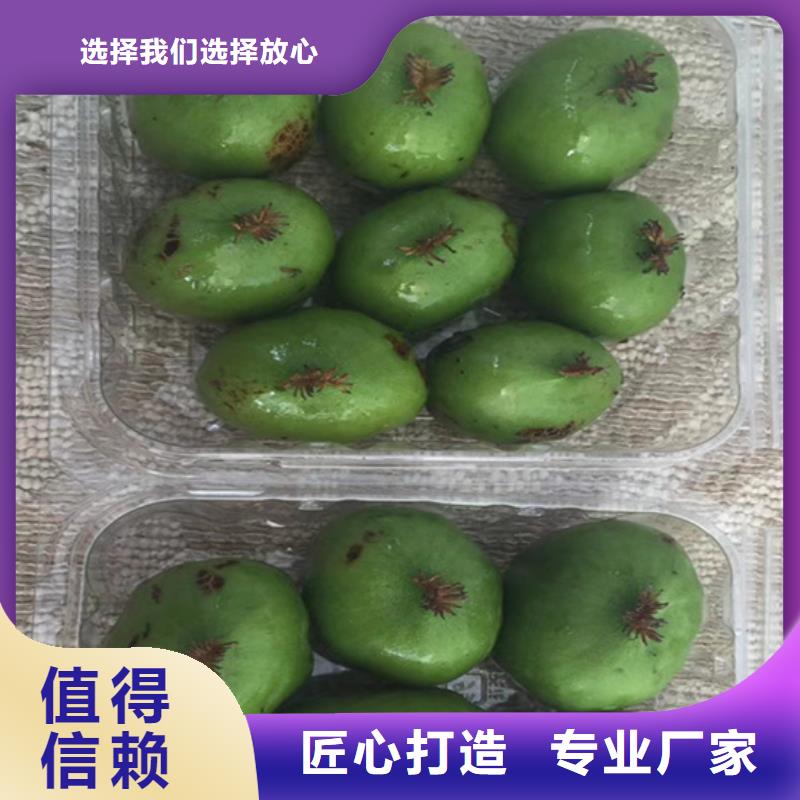猕猴桃梨树苗厂家经验丰富