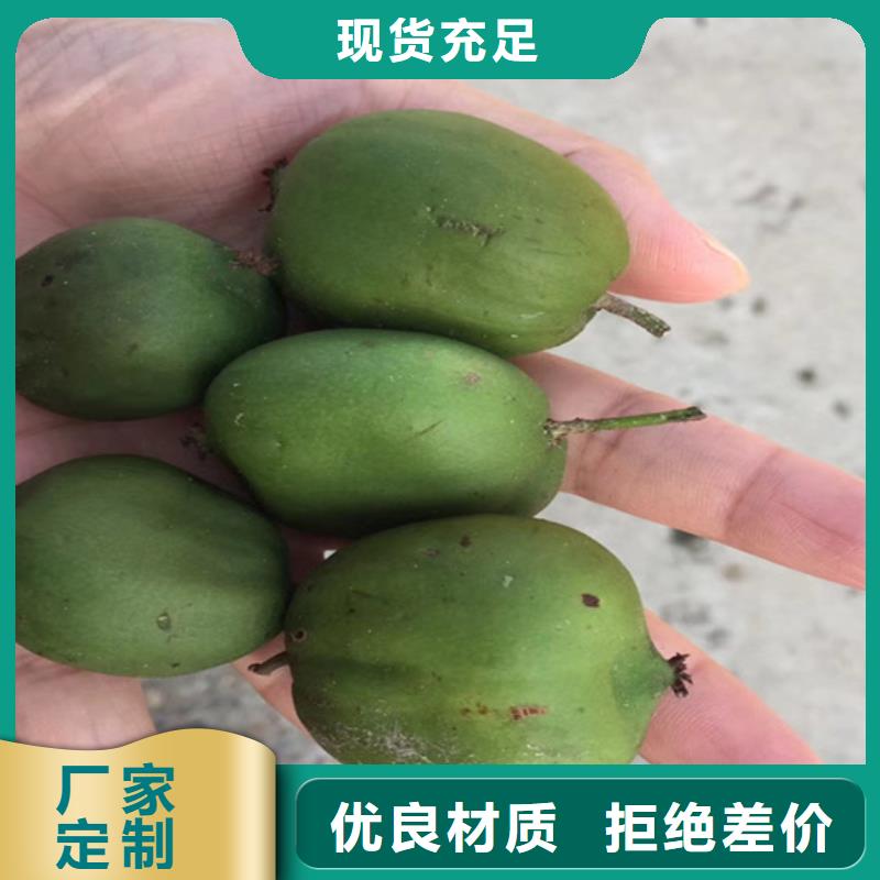 猕猴桃石榴苗工程施工案例