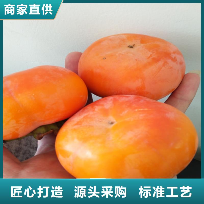 柿子【桃树苗】种类齐全|民乐|临泽|兰州|金昌|嘉峪关|天水|酒泉公司