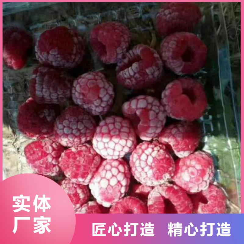 树莓_葡萄苗质检合格发货