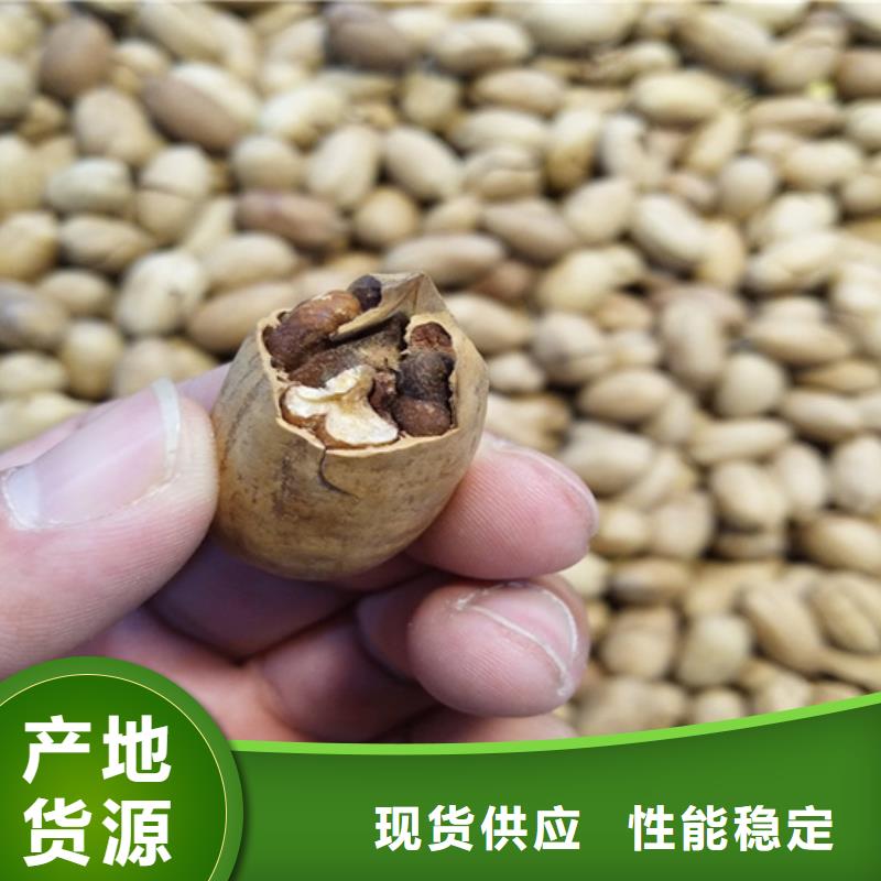 玛瑙红石榴苗视频-集安|辉南|长春|延边|四平|辽源|吉林轩园玛瑙红石榴苗_ 轩园园艺场(通化市分公司)
