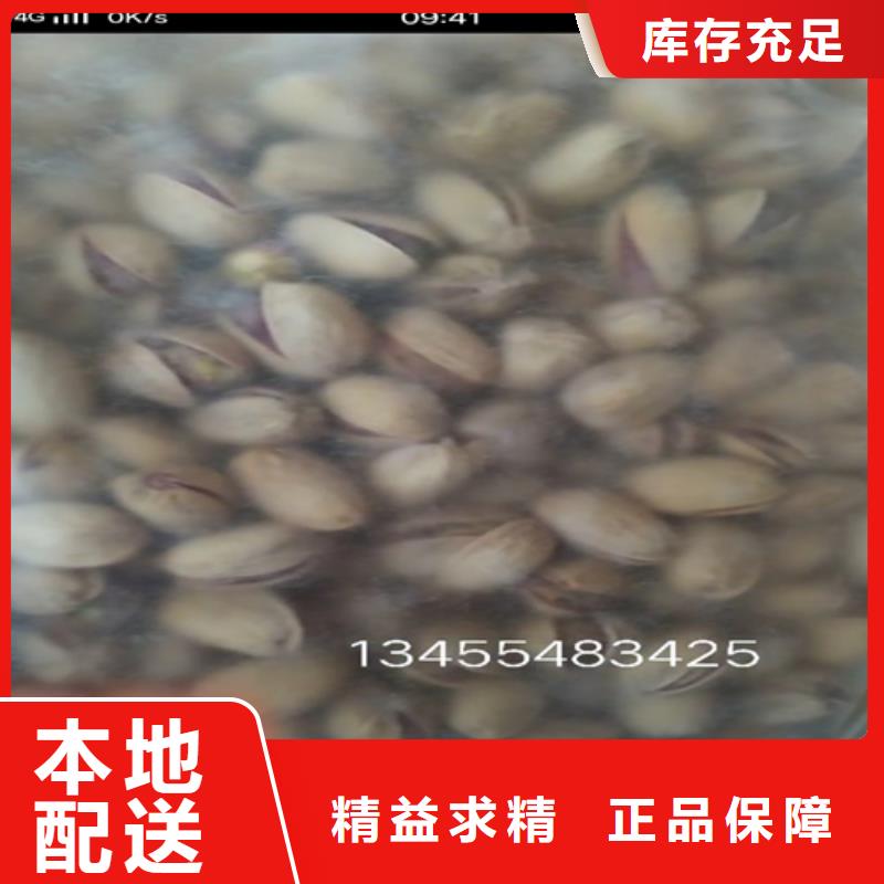 玛瑙红石榴苗视频-舒城|寿县|铜陵|巢湖|芜湖|阜阳玛瑙红石榴苗品质有保障-轩园园艺场(六安市分公司)