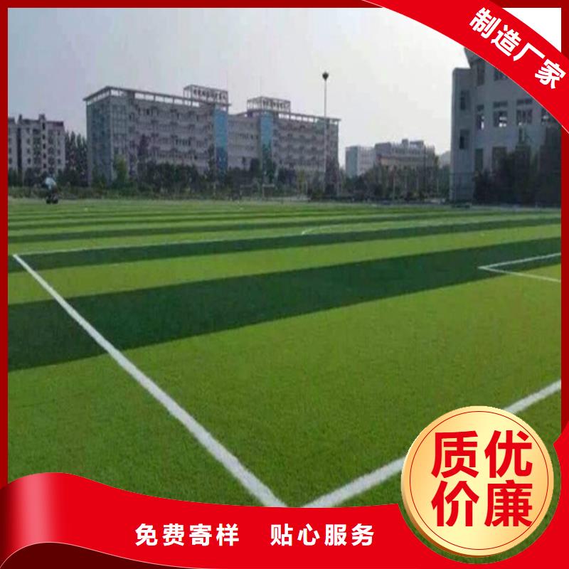 【人造草坪】_塑胶跑道精工细致打造