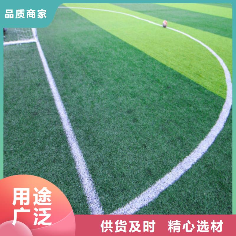 【人造草坪】塑胶跑道合作共赢