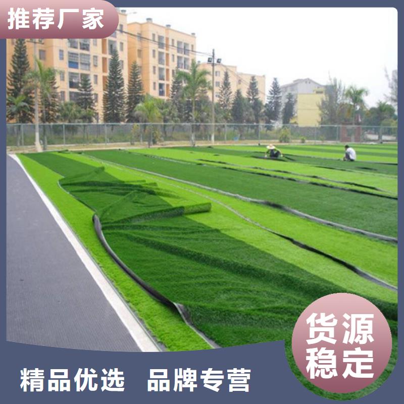 人造草坪塑胶跑道敢与同行比价格