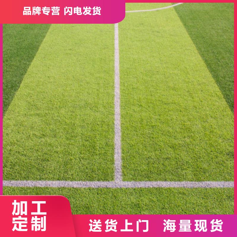 【人造草坪】塑胶跑道合作共赢